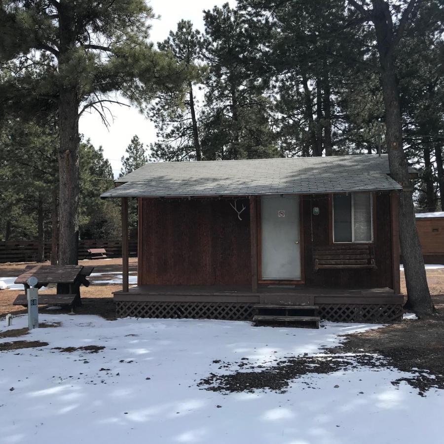 Grandview Cabins & Rv Resort South Fork Exteriör bild